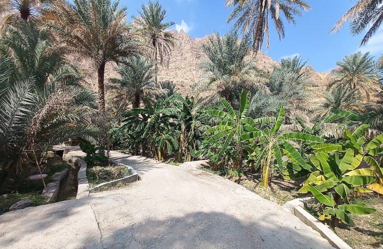 Wadi Tiwi Adventure 3