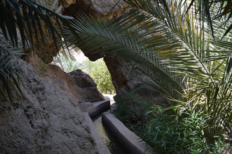 Wadi Tiwi Adventure4