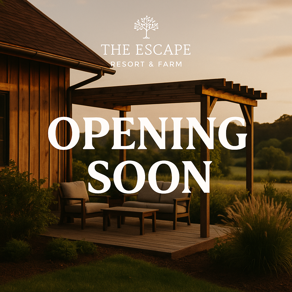 The escape Resort & farm