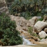 Tours Wadi Shab Tour from Sur Best 1 Day Adventure in Oman (9)